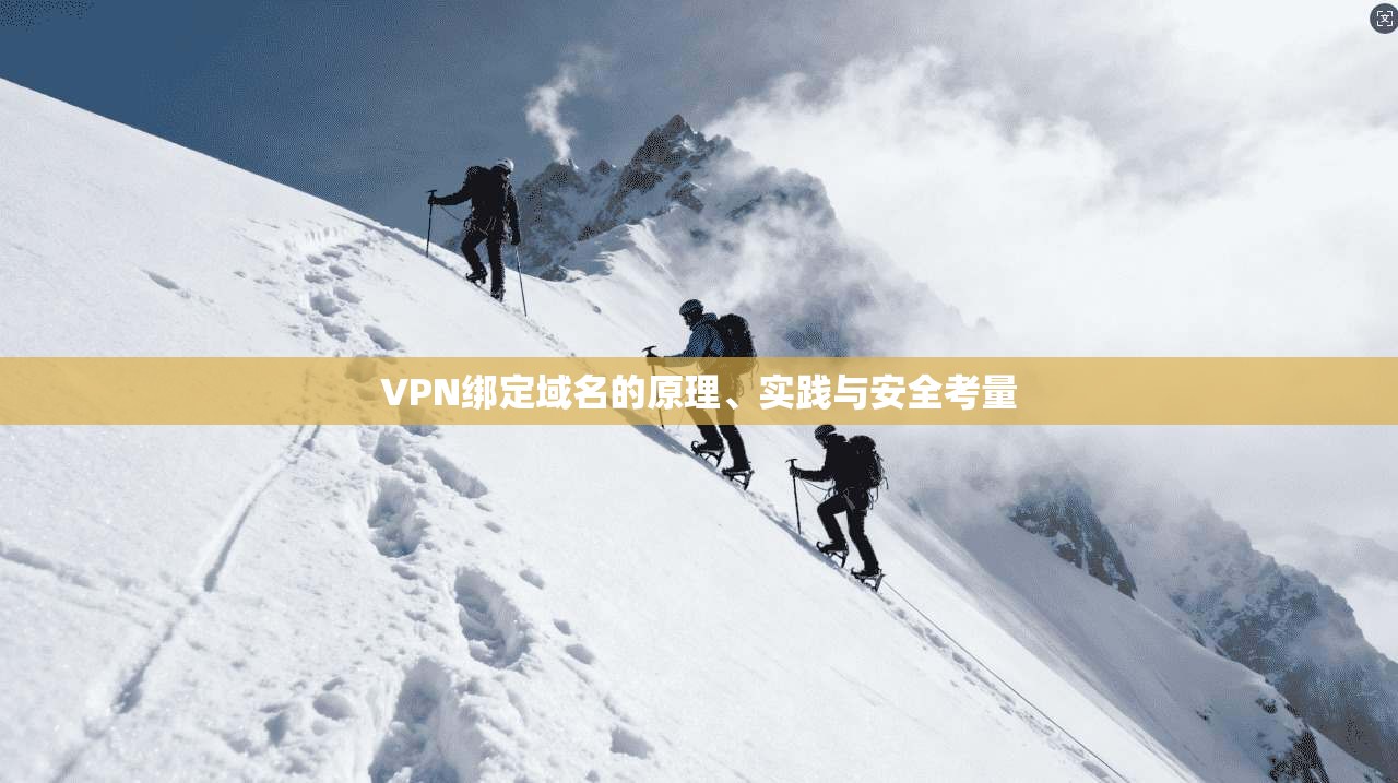 VPN绑定域名的原理、实践与安全考量