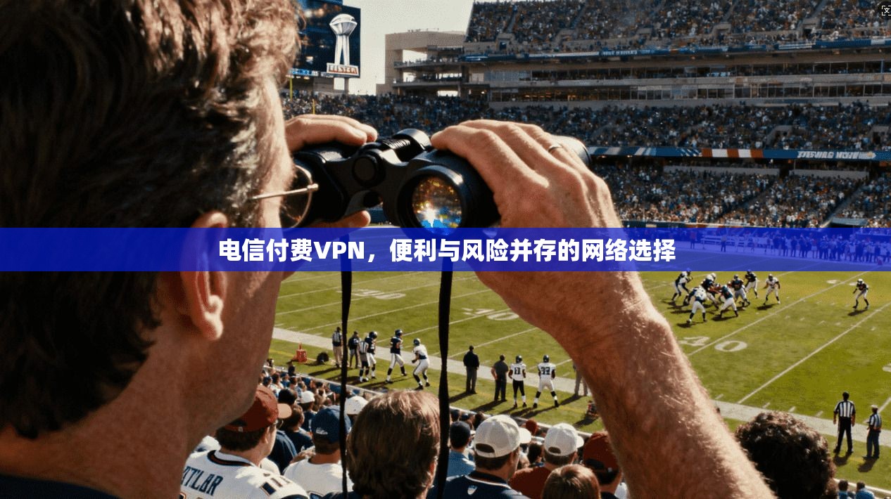 电信付费VPN,便利与风险并存的网络选择