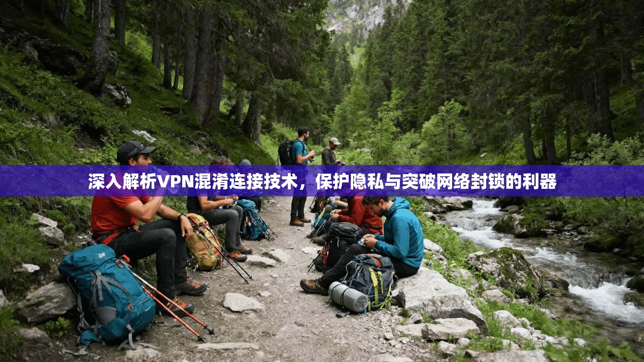 深入解析VPN混淆连接技术，保护隐私与突破网络封锁的利器