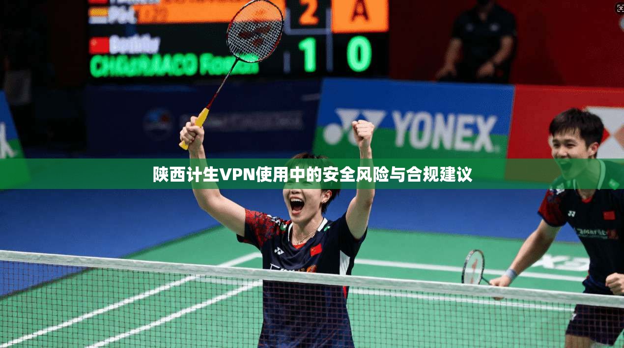 陕西计生VPN使用中的安全风险与合规建议