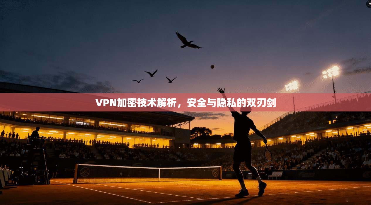VPN加密技术解析，安全与隐私的双刃剑