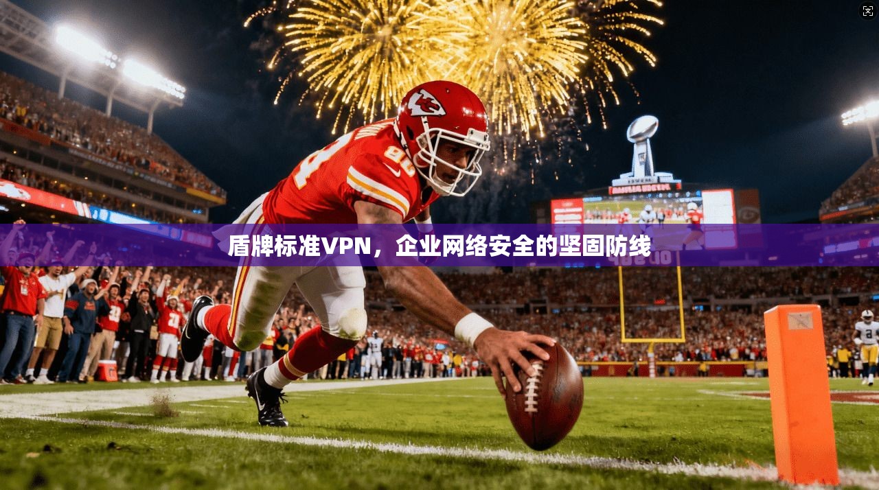 盾牌标准VPN,企业网络安全的坚固防线 盾牌标准VPN,企业网络安全的坚固防线