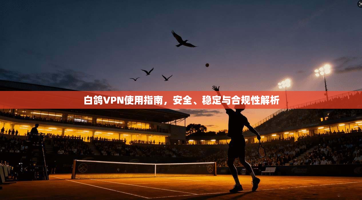 白鸽VPN使用指南,安全、稳定与合规性解析