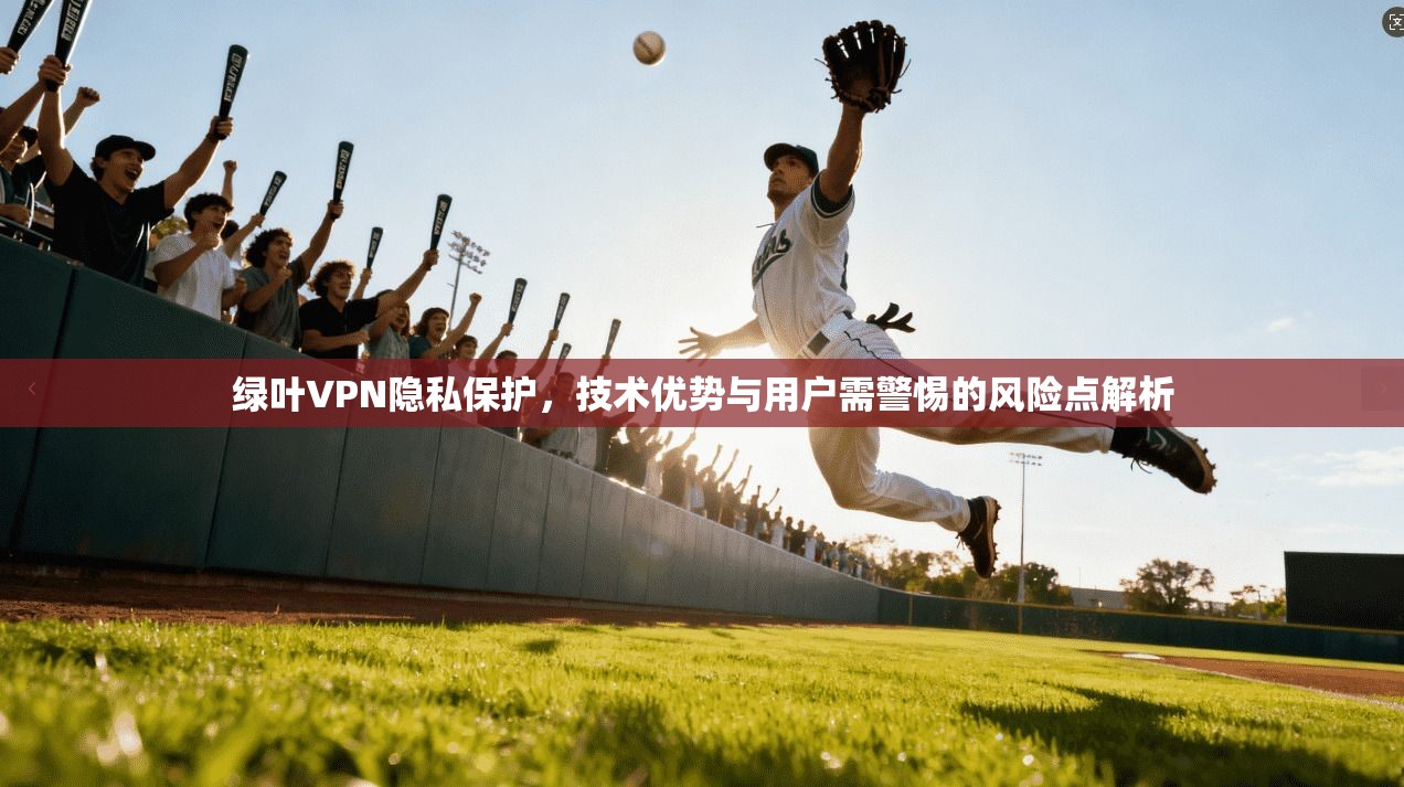 绿叶VPN隐私保护，技术优势与用户需警惕的风险点解析