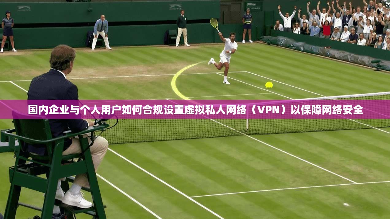 国内企业与个人用户如何合规设置虚拟私人网络(VPN)以保障网络安全 国内企业与个人用户如何合规设置虚拟私人网络(VPN)以保障网络安全