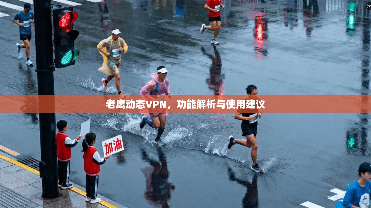 老鹰动态VPN，功能解析与使用建议