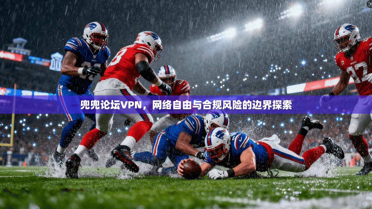 兜兜论坛VPN，网络自由与合规风险的边界探索