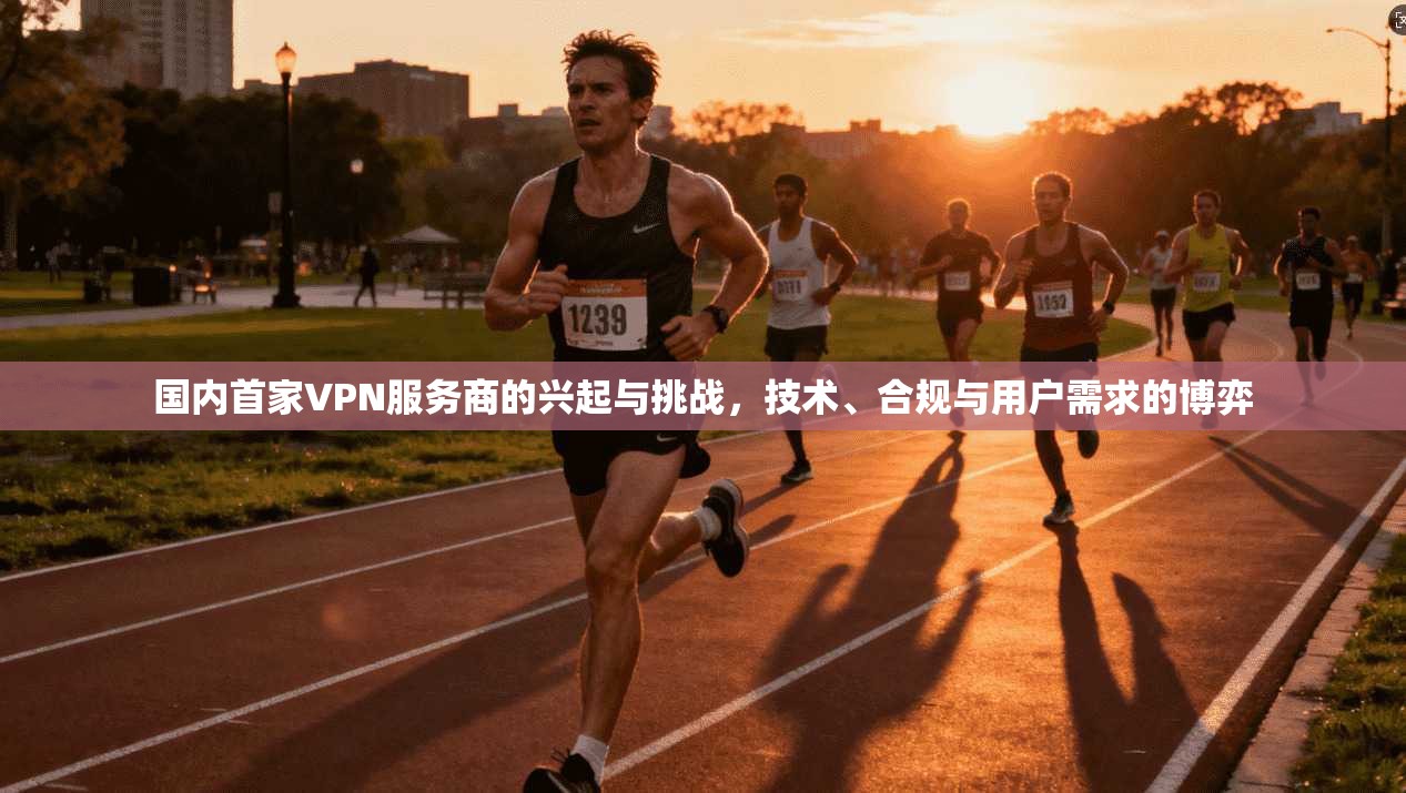 国内首家VPN服务商的兴起与挑战,技术、合规与用户需求的博弈 国内首家VPN服务商的兴起与挑战,技术、合规与用户需求的博弈