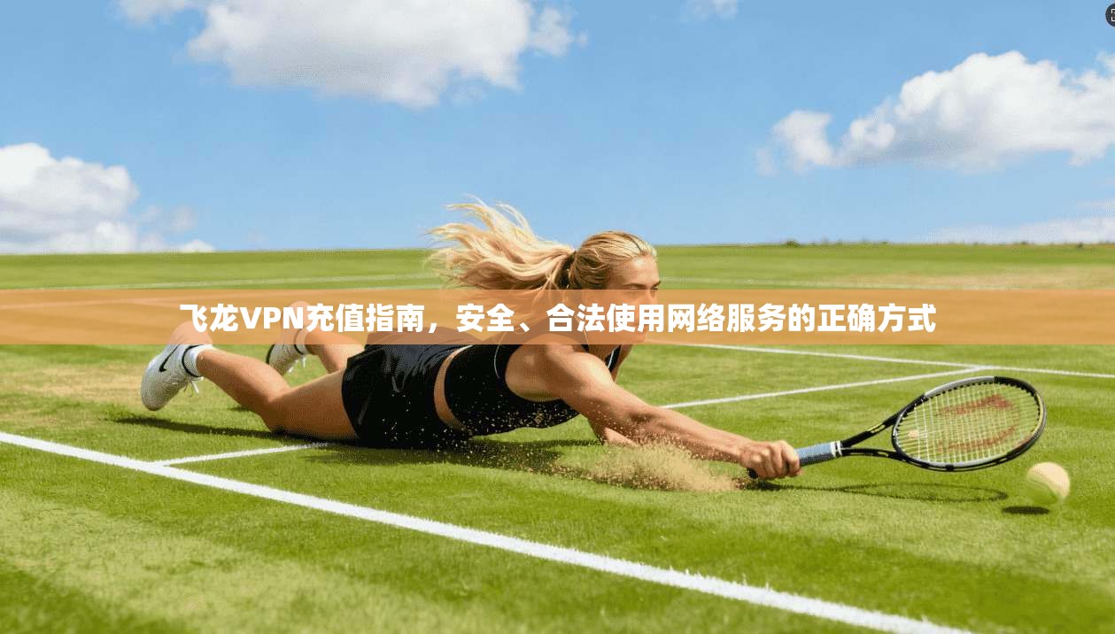 飞龙VPN充值指南,安全、合法使用网络服务的正确方式 飞龙VPN充值指南,安全、合法使用网络服务的正确方式