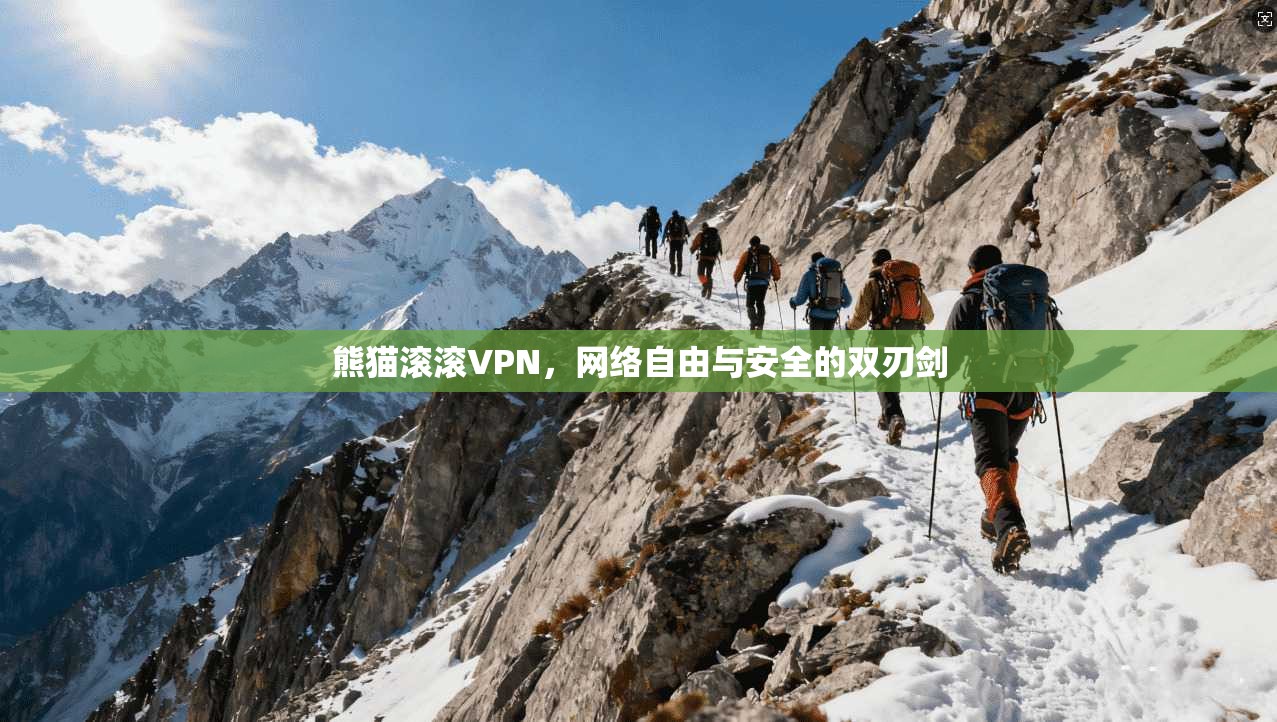 熊猫滚滚VPN，网络自由与安全的双刃剑