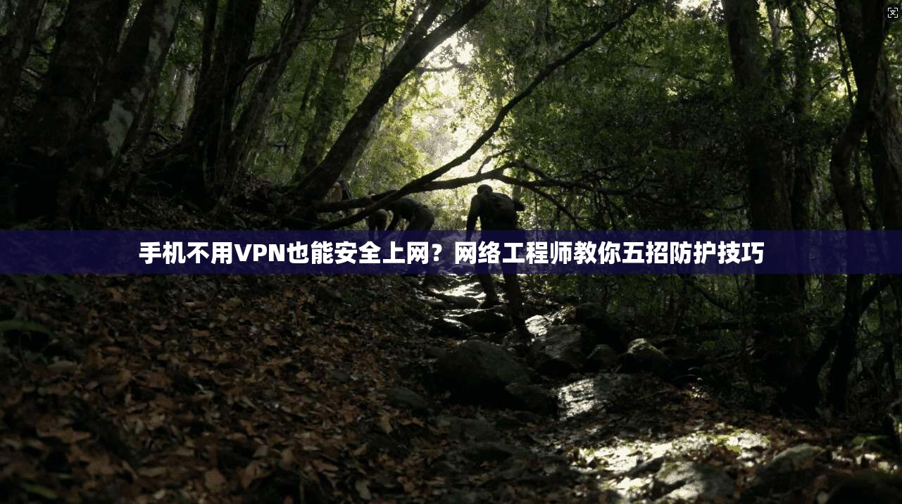 手机不用VPN也能安全上网?网络工程师教你五招防护技巧 手机不用VPN也能安全上网?网络工程师教你五招防护技巧