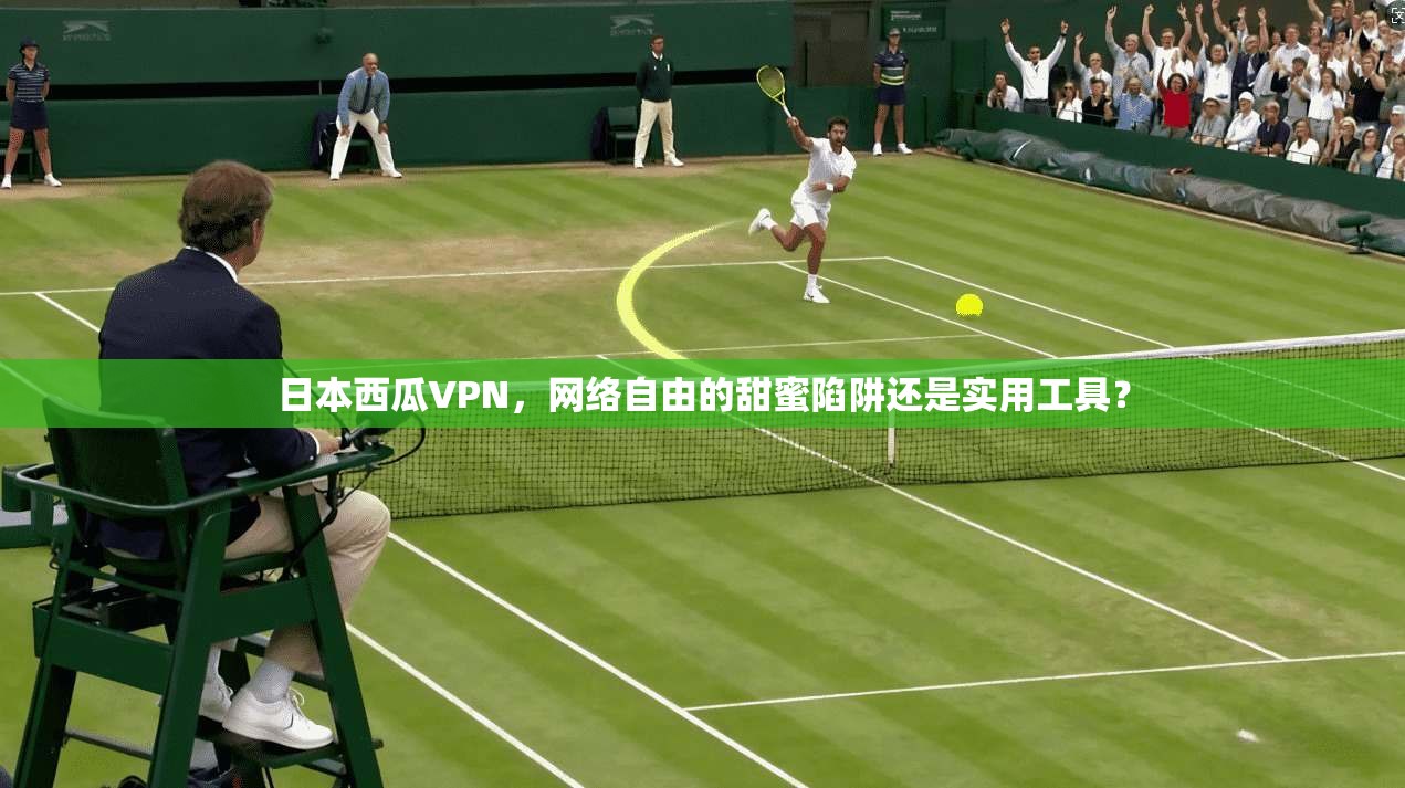 日本西瓜VPN，网络自由的甜蜜陷阱还是实用工具？