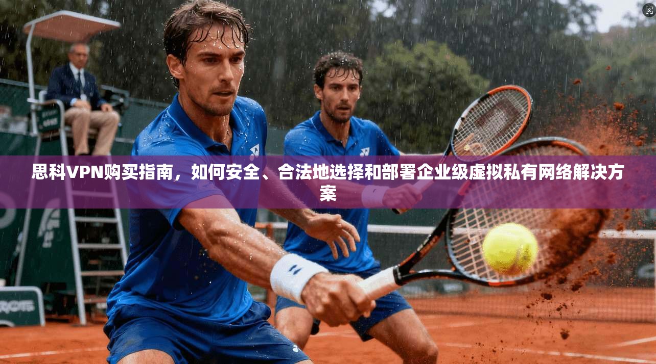 思科VPN购买指南，如何安全、合法地选择和部署企业级虚拟私有网络解决方案