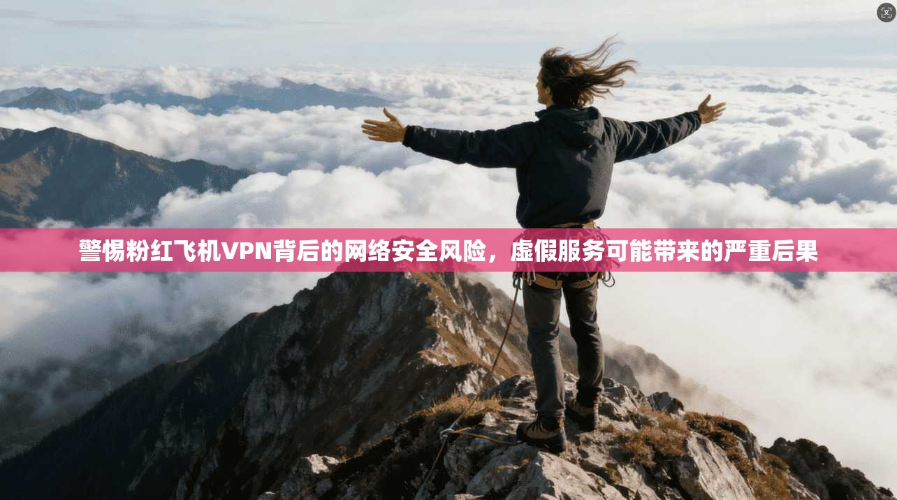 警惕粉红飞机VPN背后的网络安全风险，虚假服务可能带来的严重后果
