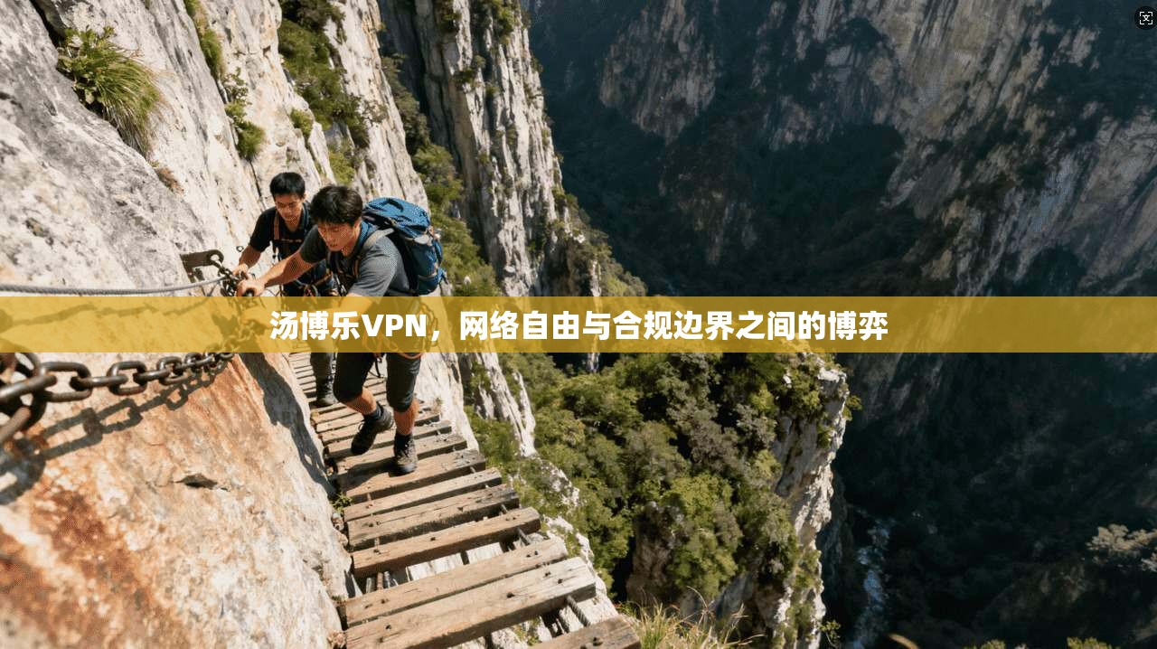 汤博乐VPN，网络自由与合规边界之间的博弈