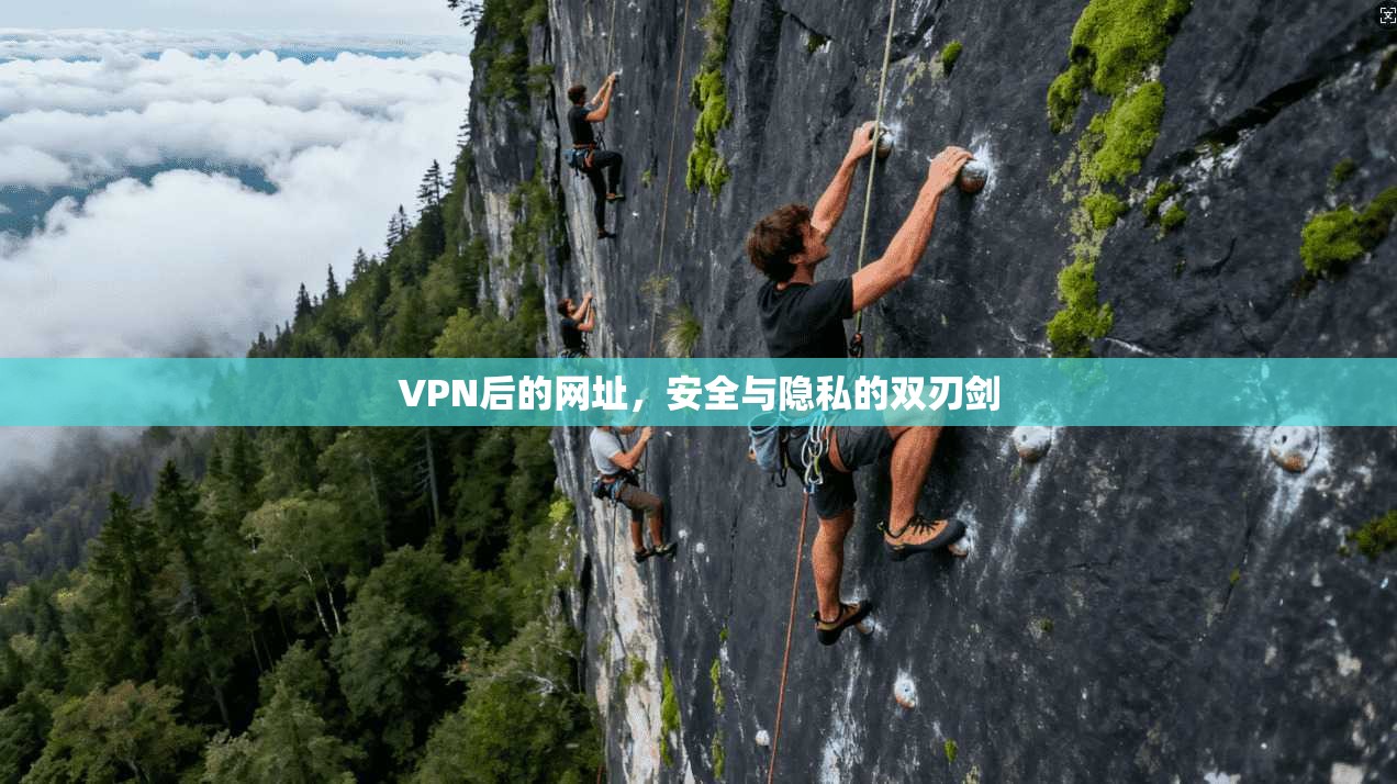 VPN后的网址，安全与隐私的双刃剑