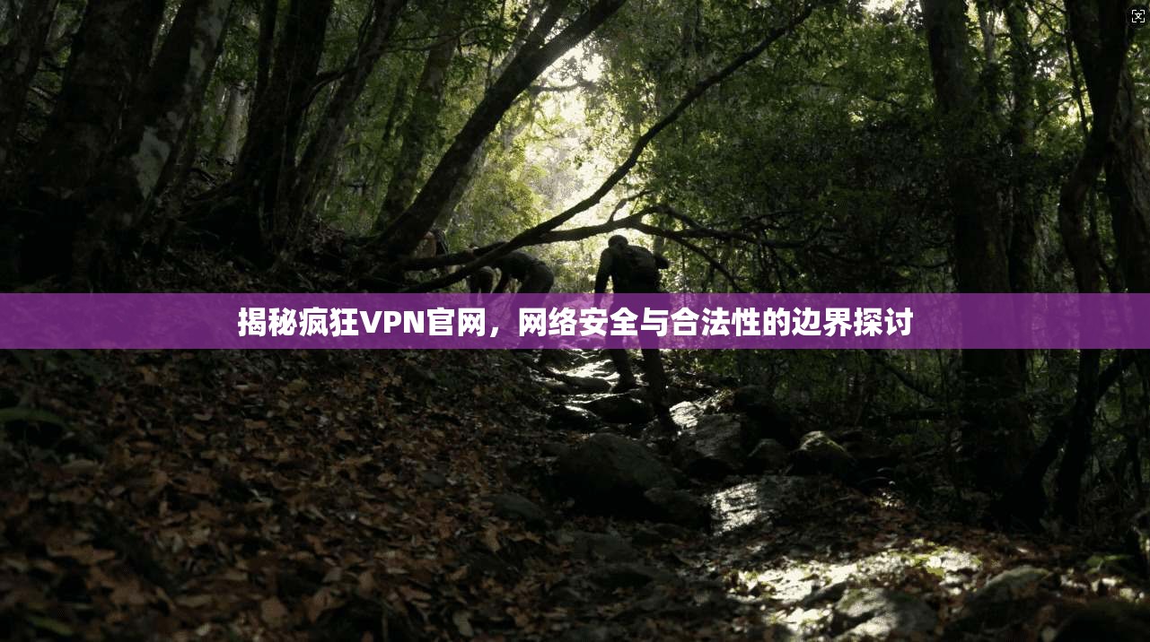 揭秘疯狂VPN官网，网络安全与合法性的边界探讨