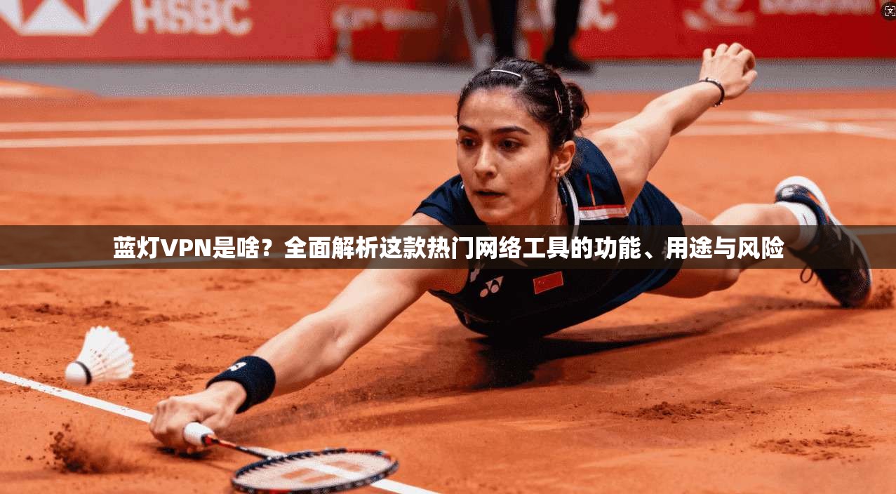 蓝灯VPN是啥?全面解析这款热门网络工具的功能、用途与风险
