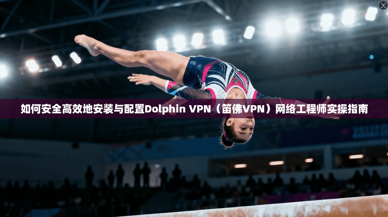 如何安全高效地安装与配置Dolphin VPN（笛佛VPN）网络工程师实操指南