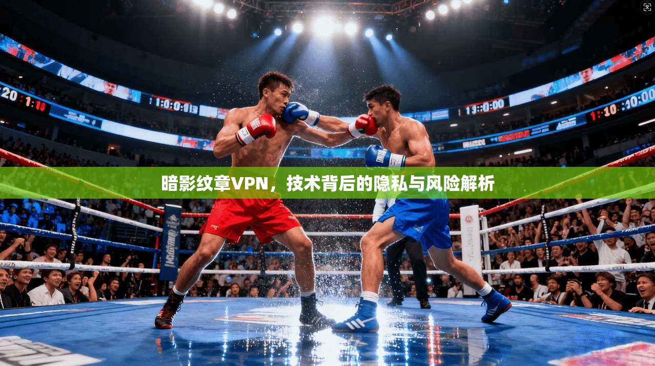 暗影纹章VPN，技术背后的隐私与风险解析