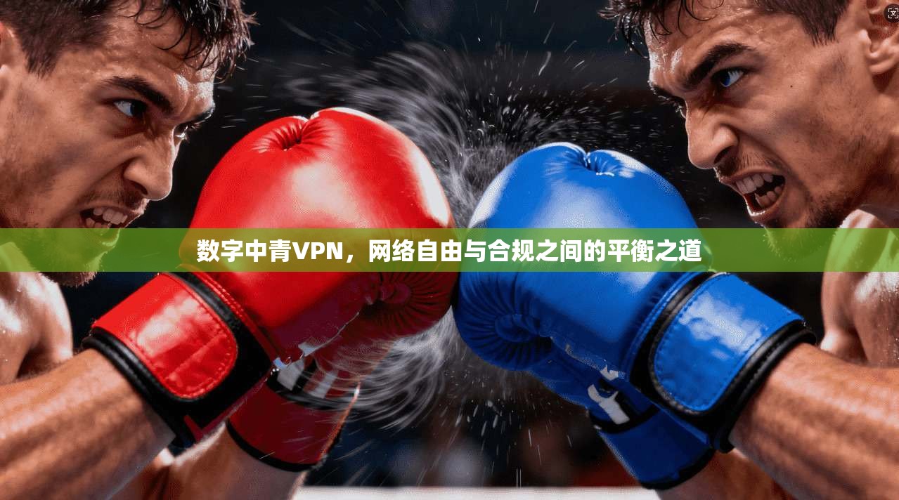 数字中青VPN，网络自由与合规之间的平衡之道