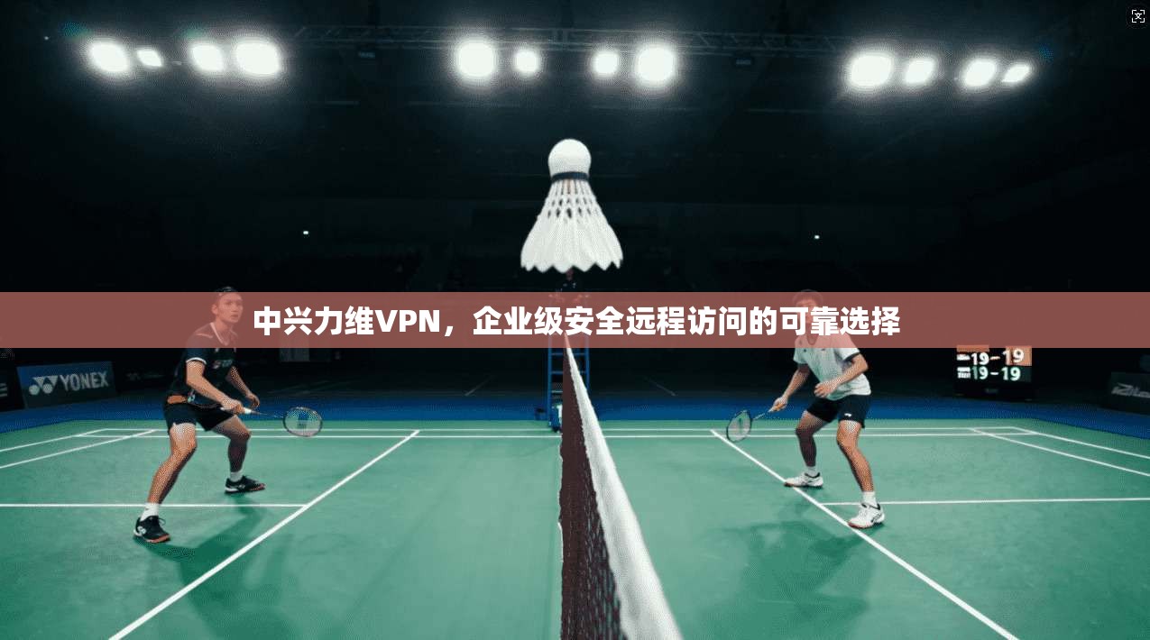 中兴力维VPN，企业级安全远程访问的可靠选择