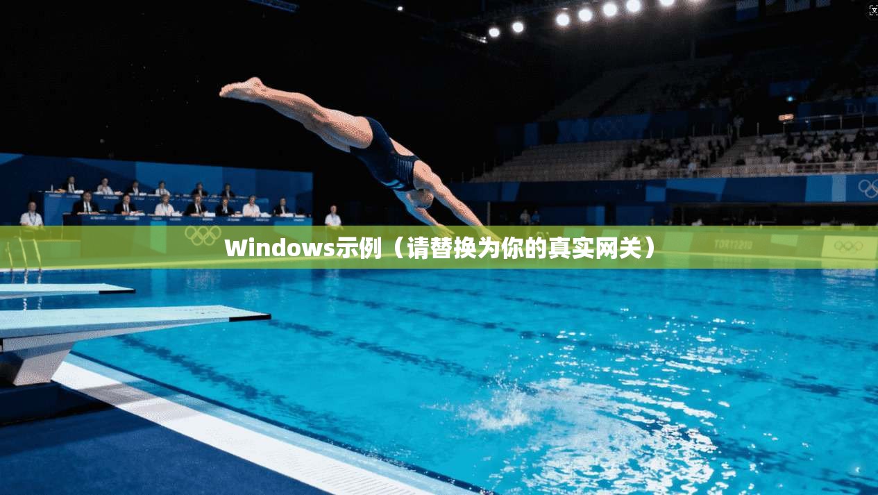 Windows示例（请替换为你的真实网关）