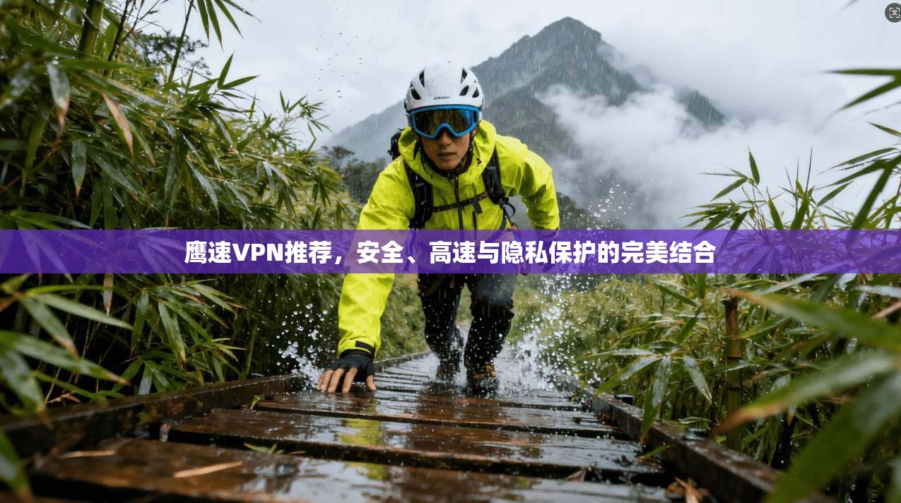鹰速VPN推荐，安全、高速与隐私保护的完美结合
