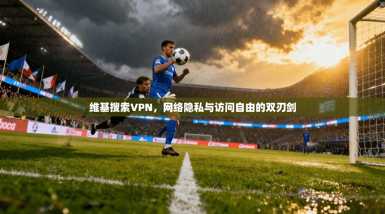 维基搜索VPN，网络隐私与访问自由的双刃剑