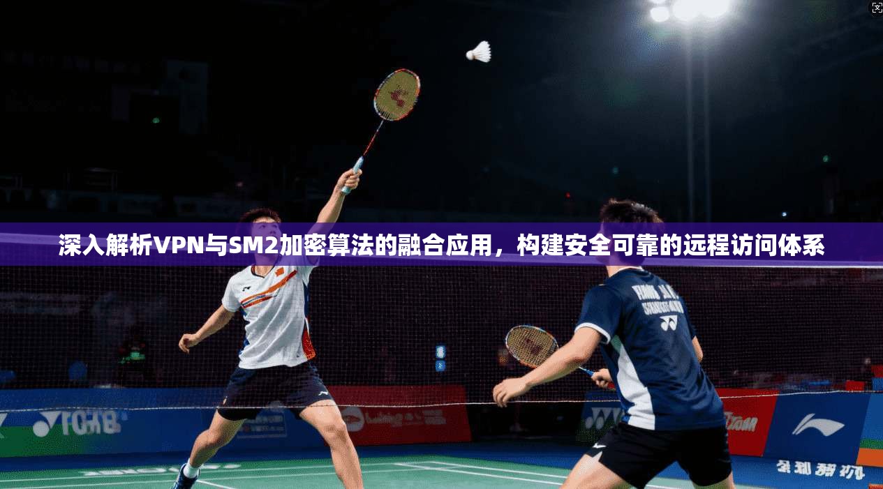 深入解析VPN与SM2加密算法的融合应用，构建安全可靠的远程访问体系