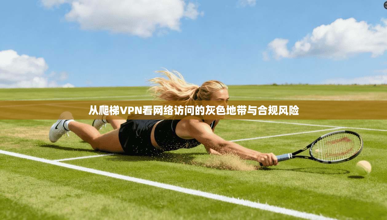 从爬梯VPN看网络访问的灰色地带与合规风险 从爬梯VPN看网络访问的灰色地带与合规风险