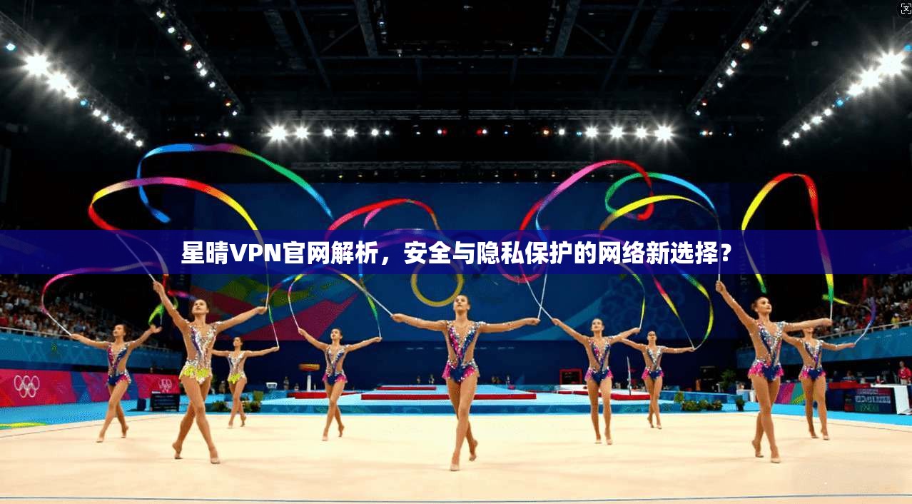 星晴VPN官网解析,安全与隐私保护的网络新选择?