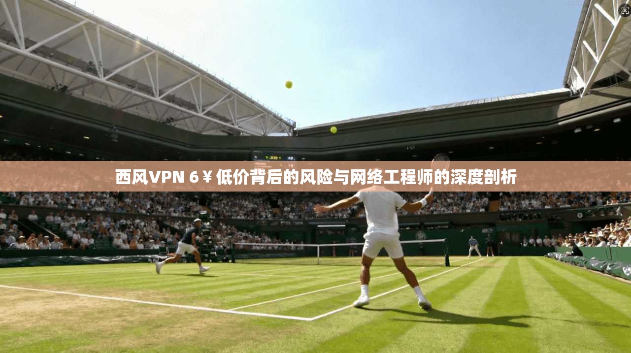 西风VPN 6￥低价背后的风险与网络工程师的深度剖析
