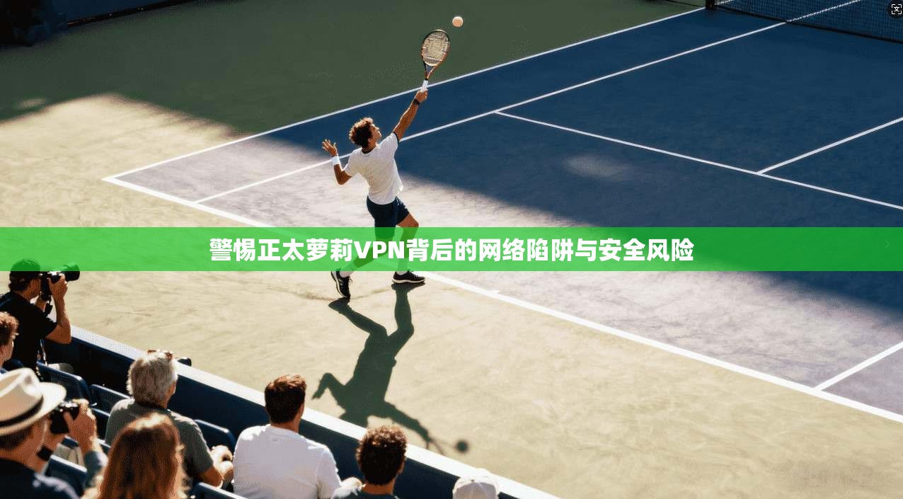 警惕正太萝莉VPN背后的网络陷阱与安全风险 警惕正太萝莉VPN背后的网络陷阱与安全风险