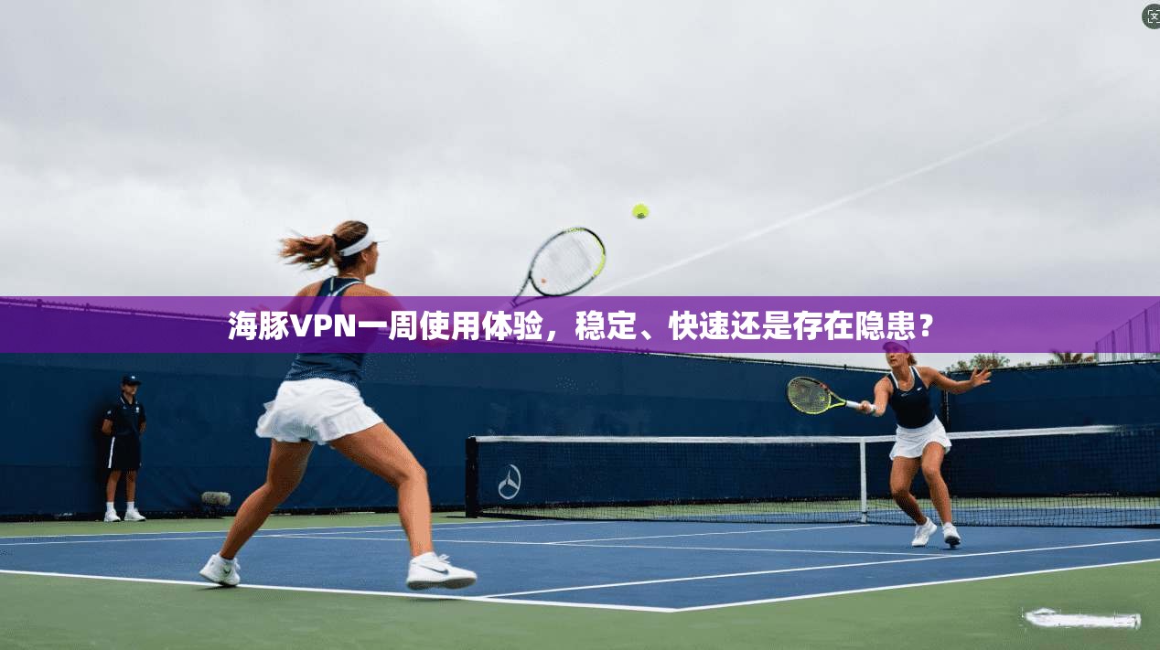 海豚VPN一周使用体验，稳定、快速还是存在隐患？