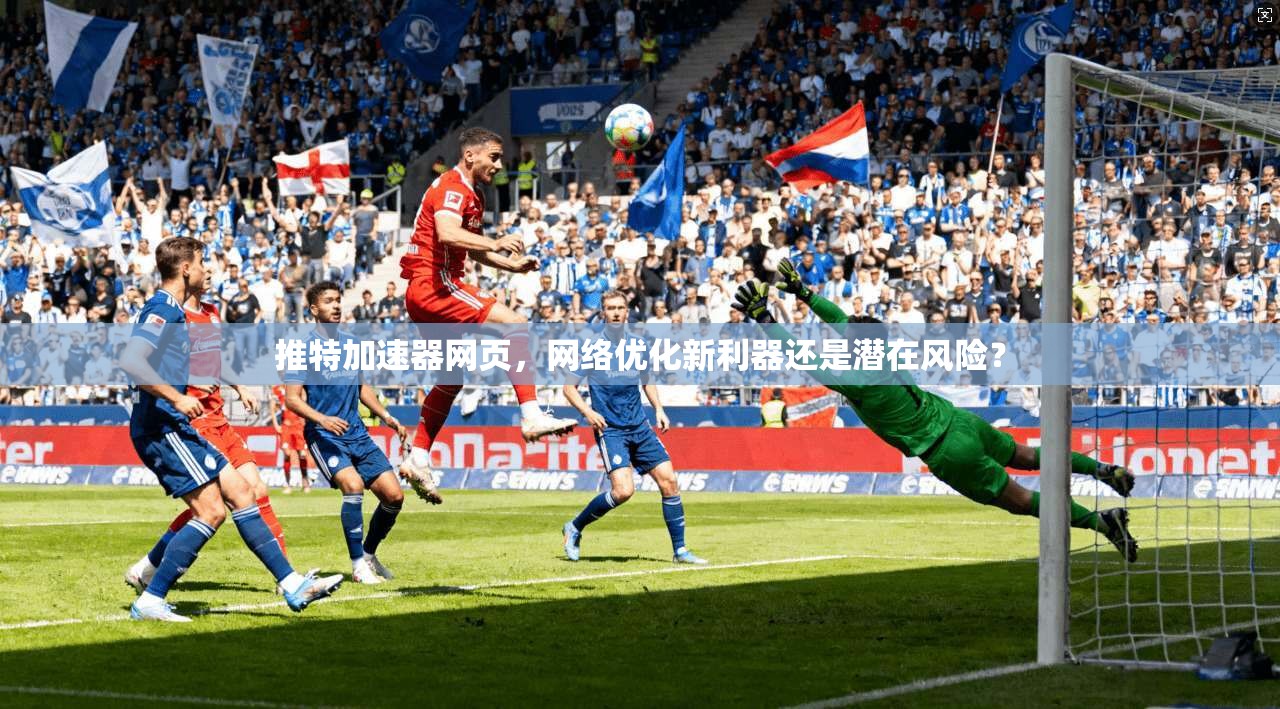 推特加速器网页，网络优化新利器还是潜在风险？