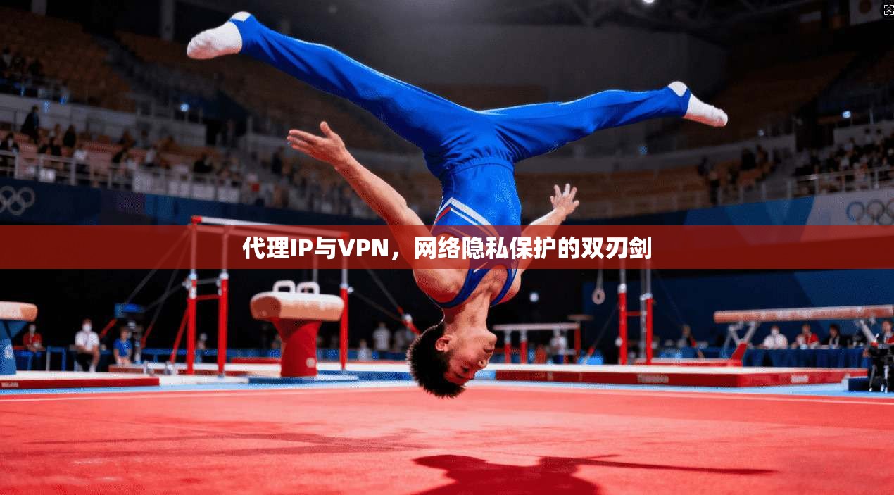 代理IP与VPN，网络隐私保护的双刃剑