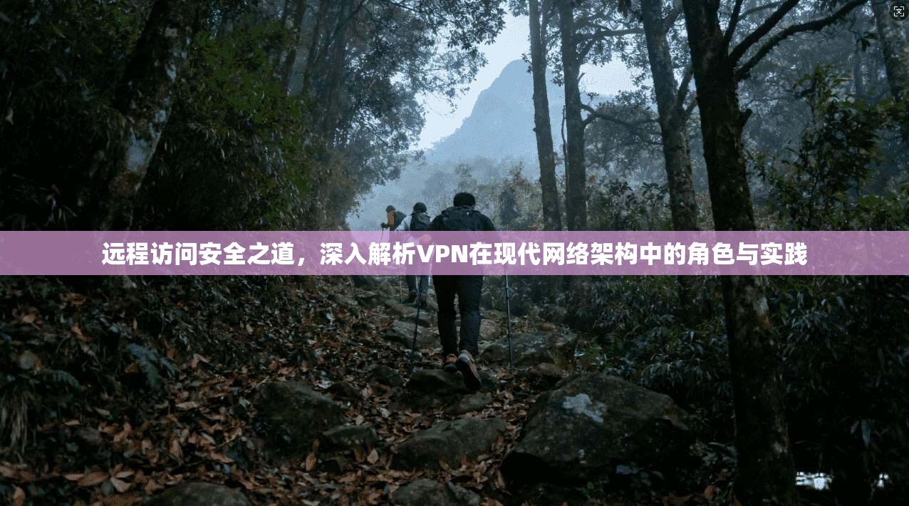 远程访问安全之道,深入解析VPN在现代网络架构中的角色与实践 远程访问安全之道,深入解析VPN在现代网络架构中的角色与实践