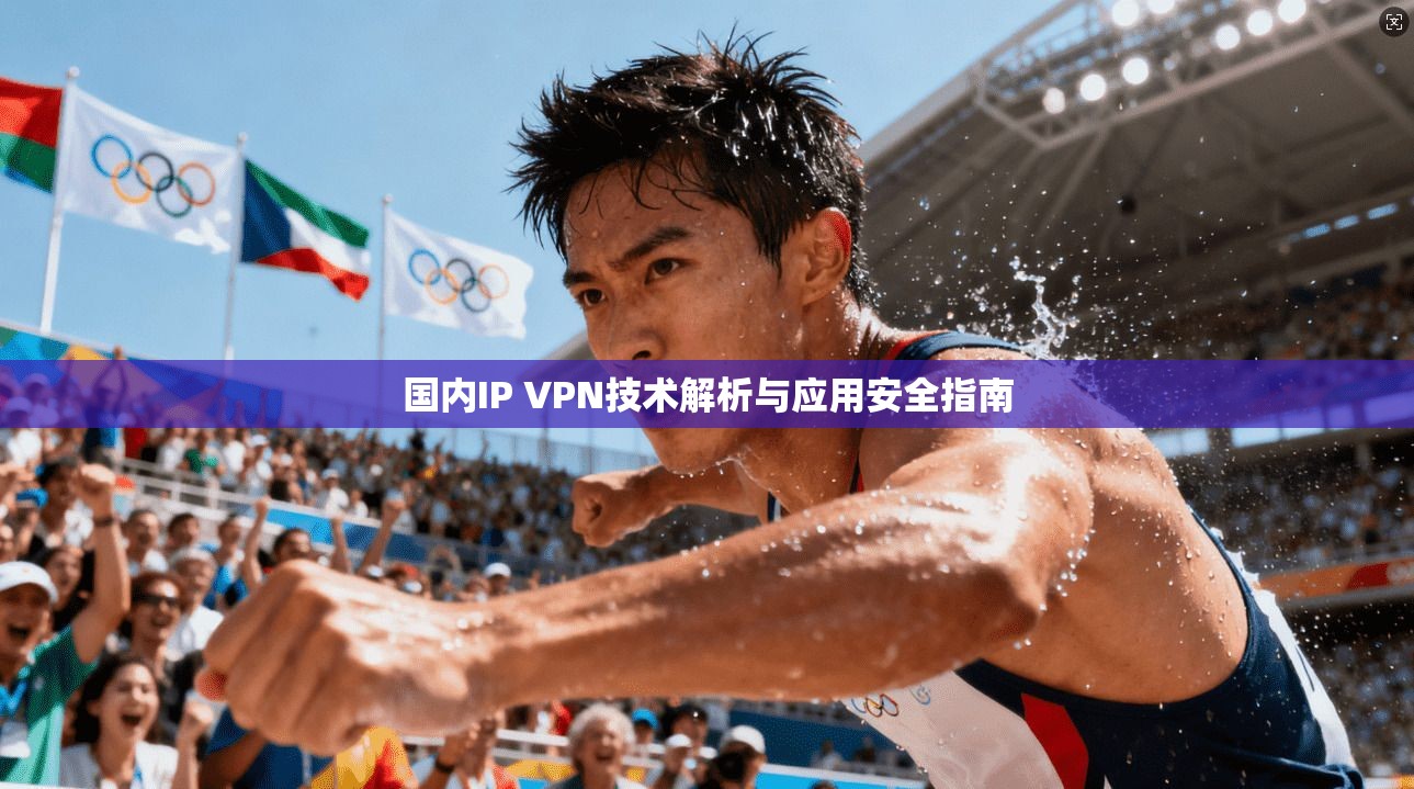 国内IP VPN技术解析与应用安全指南 国内IP VPN技术解析与应用安全指南