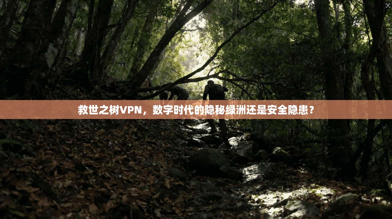 救世之树VPN,数字时代的隐秘绿洲还是安全隐患?
