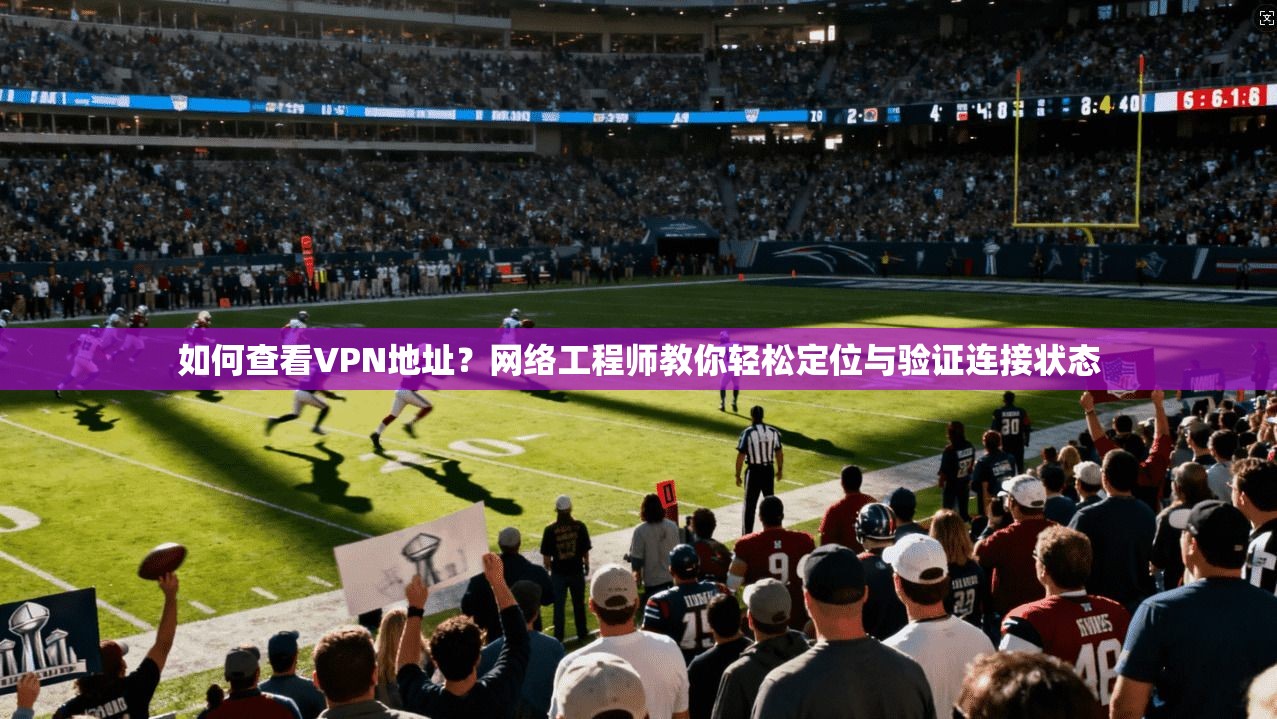 如何查看VPN地址？网络工程师教你轻松定位与验证连接状态