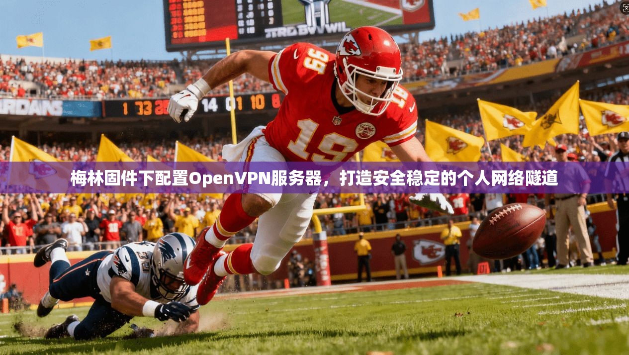 梅林固件下配置OpenVPN服务器，打造安全稳定的个人网络隧道