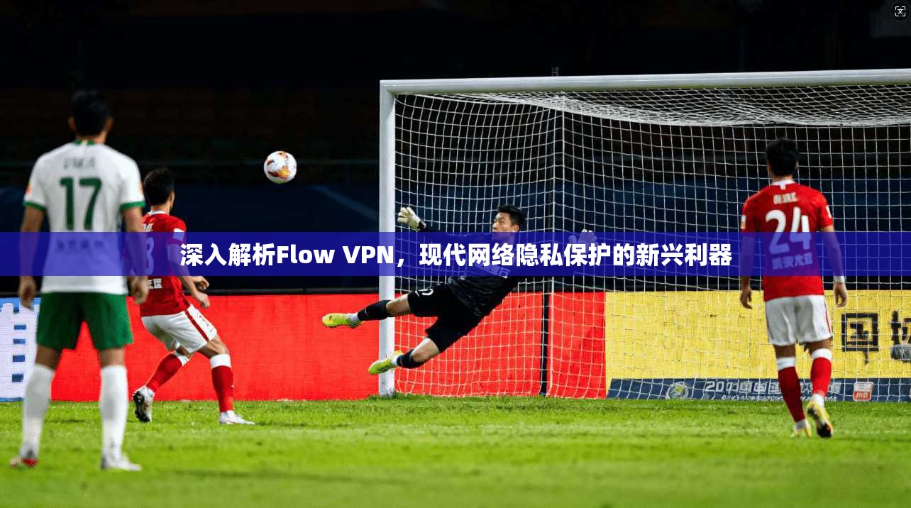 深入解析Flow VPN，现代网络隐私保护的新兴利器