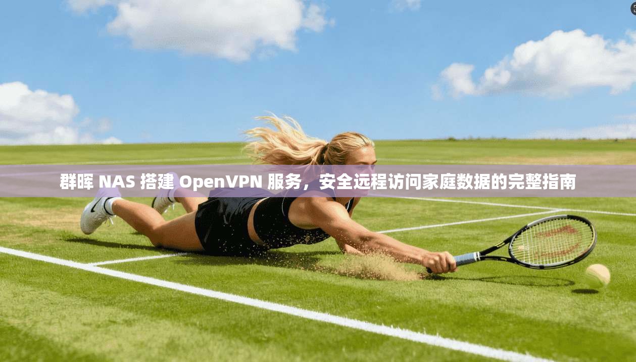 群晖 NAS 搭建 OpenVPN 服务，安全远程访问家庭数据的完整指南