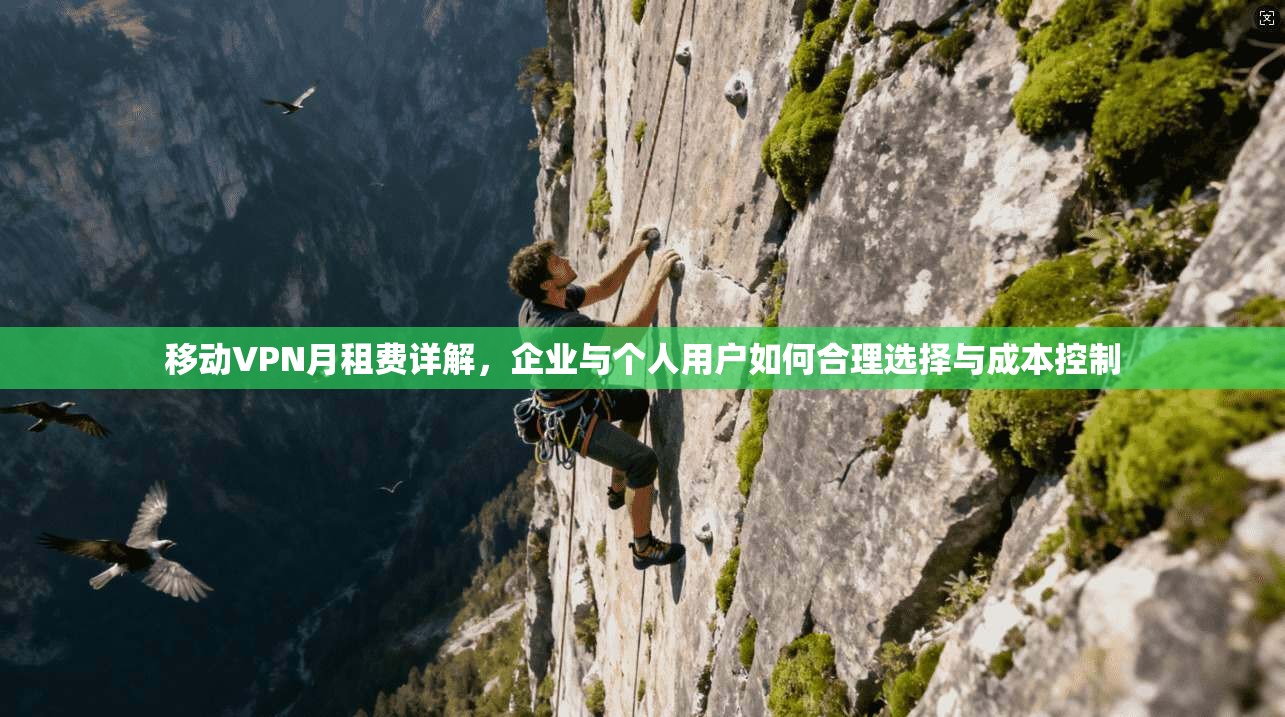 移动VPN月租费详解，企业与个人用户如何合理选择与成本控制