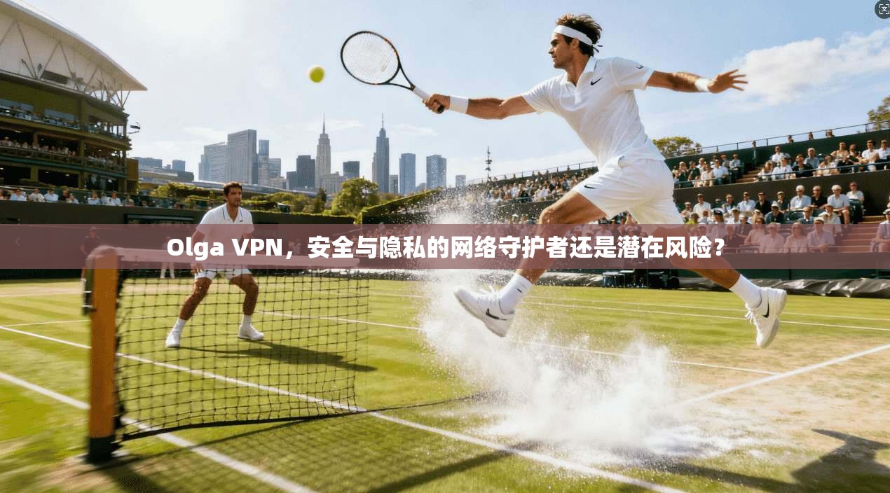 Olga VPN，安全与隐私的网络守护者还是潜在风险？