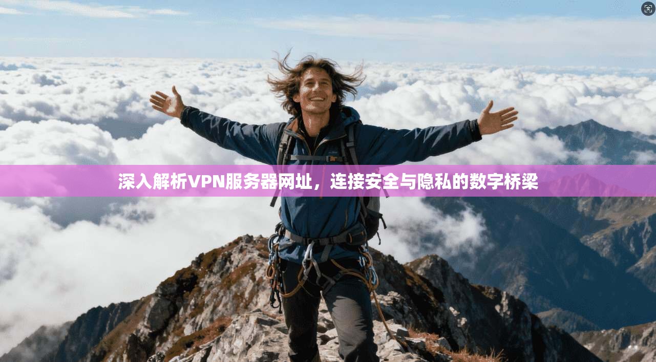深入解析VPN服务器网址,连接安全与隐私的数字桥梁 深入解析VPN服务器网址,连接安全与隐私的数字桥梁
