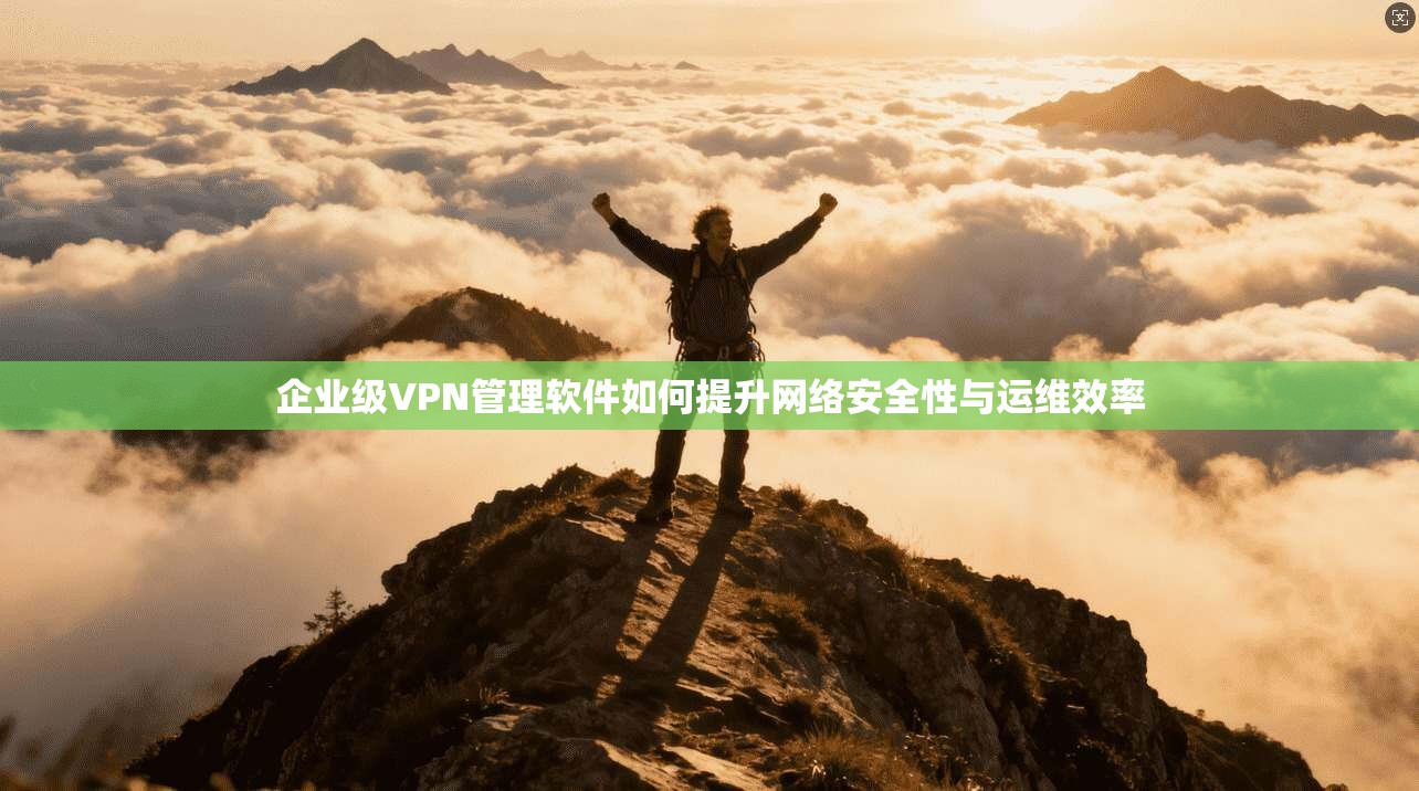企业级VPN管理软件如何提升网络安全性与运维效率