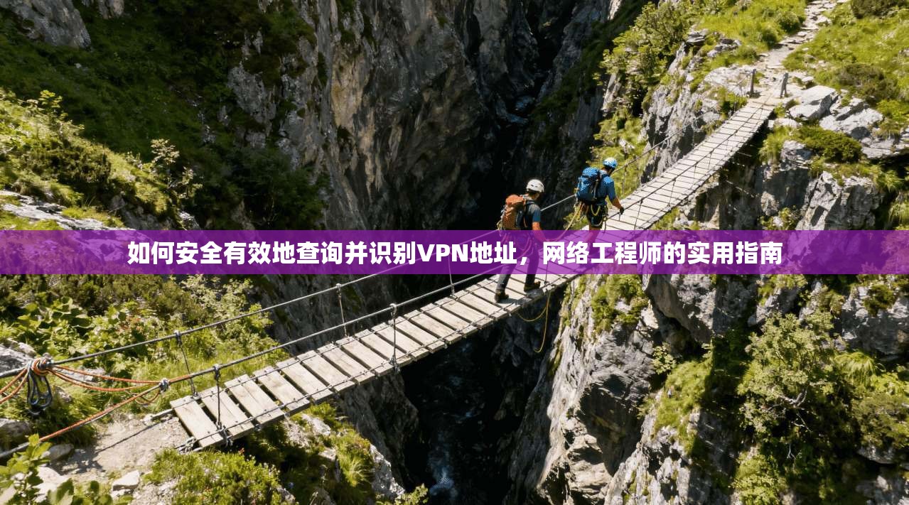 如何安全有效地查询并识别VPN地址，网络工程师的实用指南