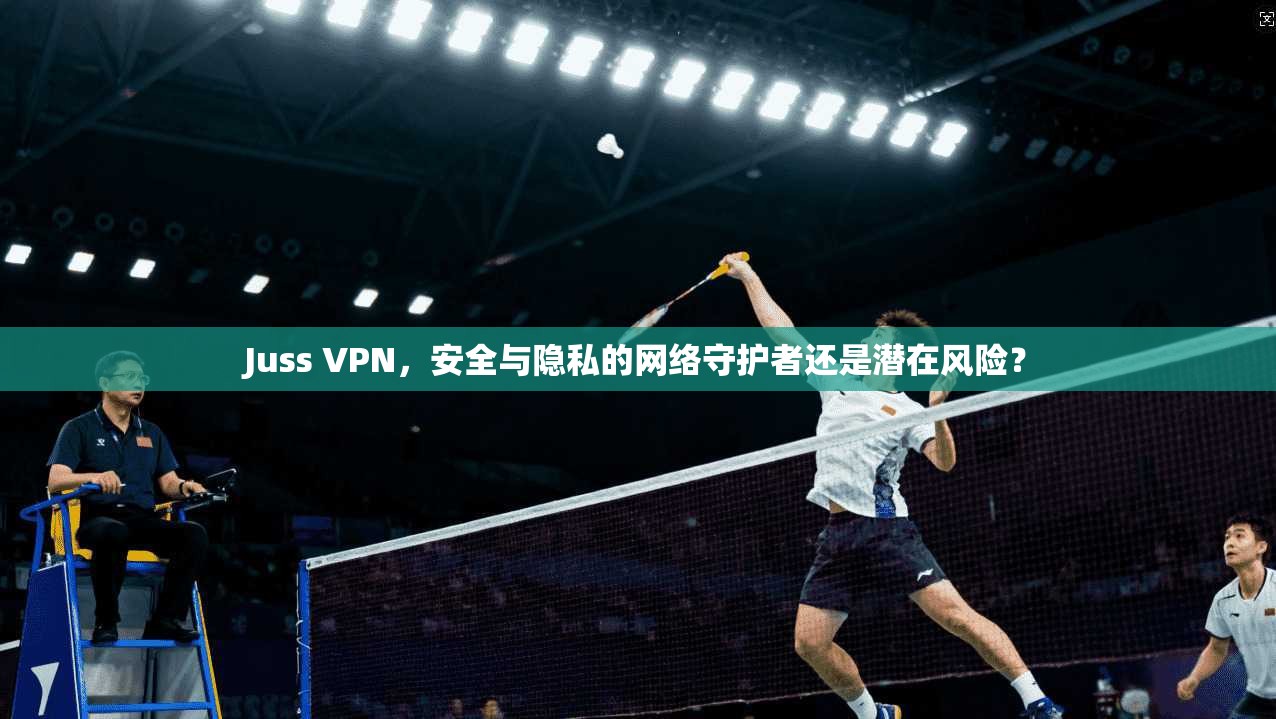 Juss VPN，安全与隐私的网络守护者还是潜在风险？
